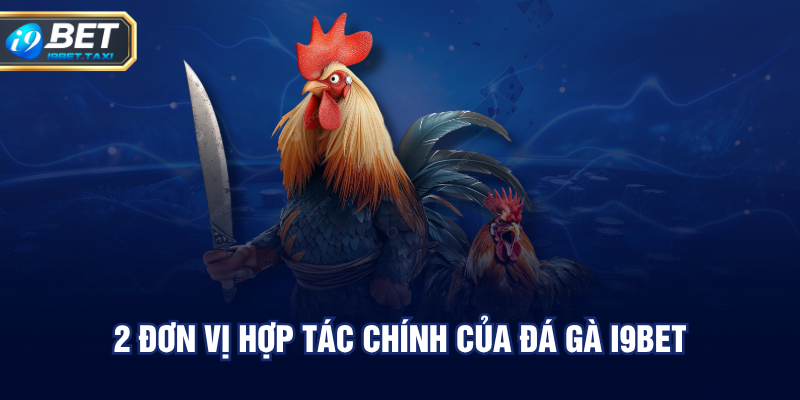 2 đơn vị hợp tác chính của đá gà I9BET