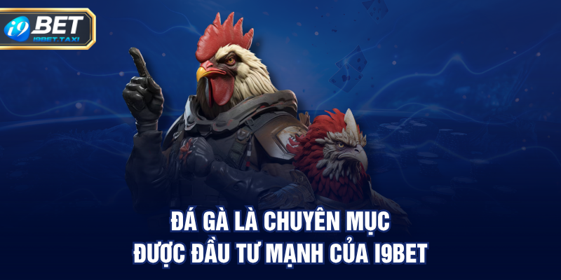 Đá gà là chuyên mục được đầu tư mạnh của I9BET