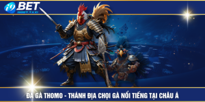 Đá Gà Thomo - Thánh Địa Chọi Gà Nổi Tiếng Tại Châu Á