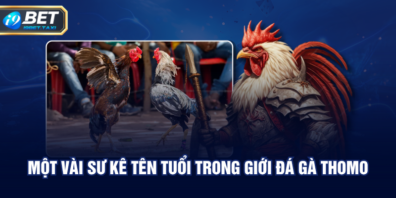 Một vài sư kê tên tuổi trong giới đá gà Thomo