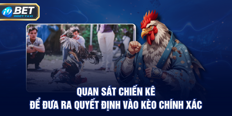 Quan sát chiến kê để đưa ra quyết định vào kèo chính xác