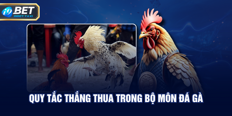 Quy tắc thắng thua trong bộ môn đá gà